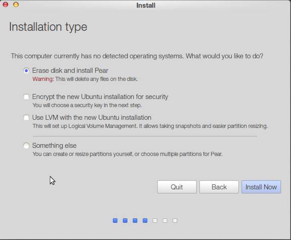 Pear OS 8 Install Type
