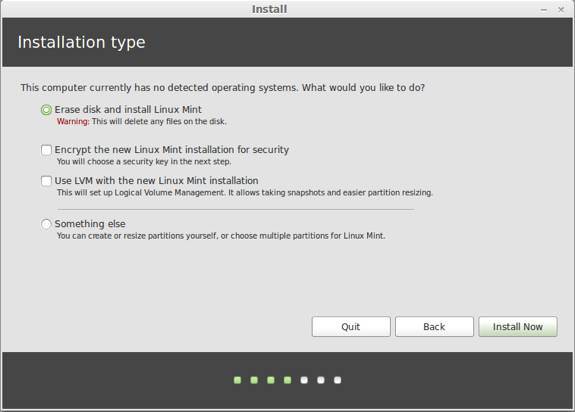 Linux Mint 16 Cinnamon Install Type
