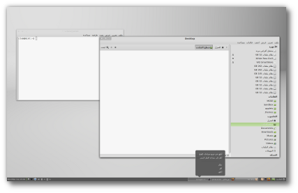 Linux Mint 13 Cinnamon Localization