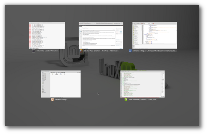 The Scale Overview in Linux Mint 13 Cinnamon