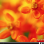 The Vixta Linux desktop is, for the most part, a blend of KDE and Windows Vista.