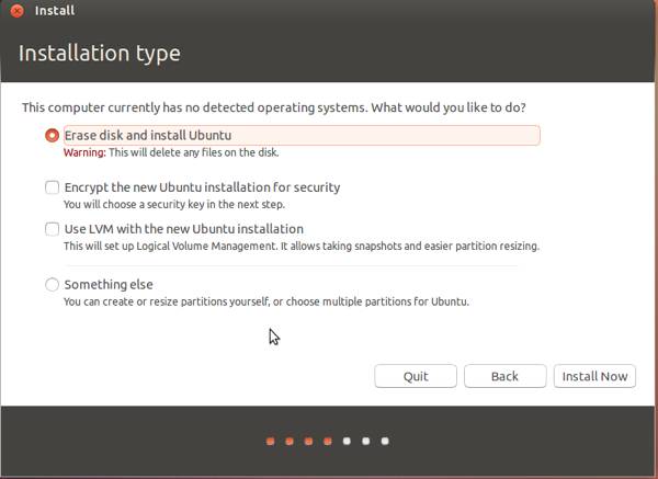 Ubuntu 13.04 Install Type