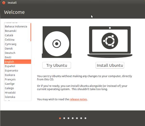 Ubuntu 13.04 Try or Install