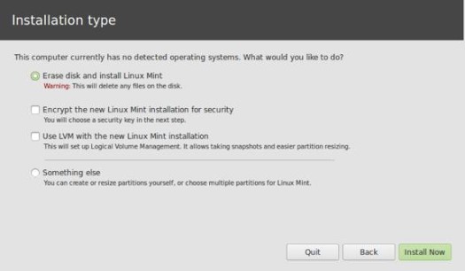 Linux Mint 15 Install Type